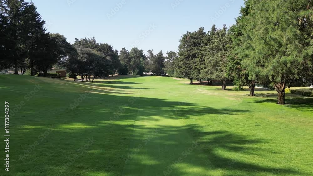 Golf course with a grassy field and trees in the background Golf course with a grassy field and trees in the background