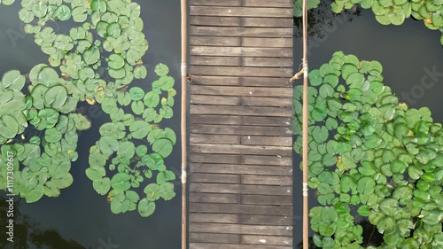 Bridge over a pond with lily pads on the water