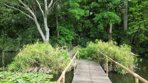 Wooden bridge over a pond with lily pads