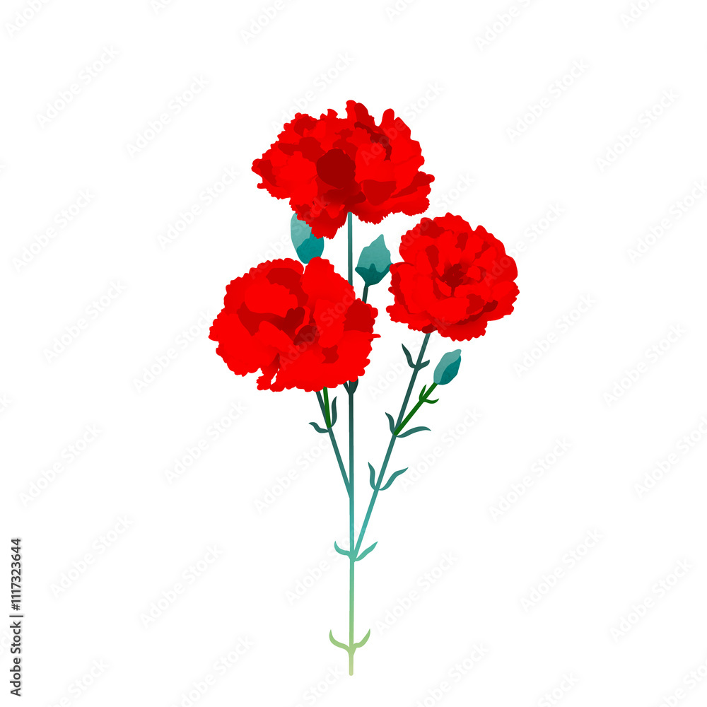 カーネーション カーネーション