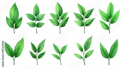 Collection of Various Green Leaf Illustrations for Nature Themes