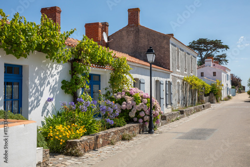 Fototapeta Naklejka Na Ścianę i Meble -  Paysage dans les rue du village de Noirmoutier sur l'île de Noirmoutier.