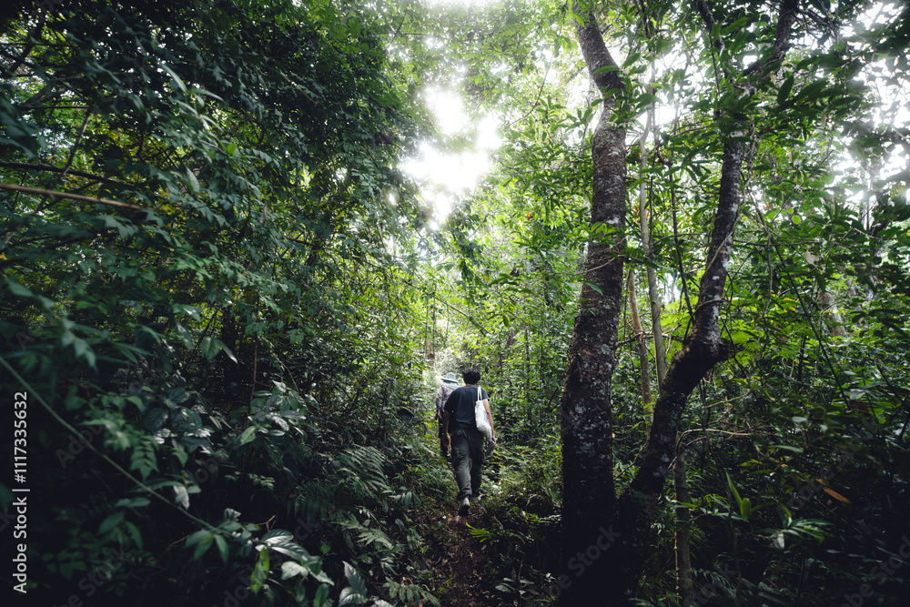 A man walks into a green forest.