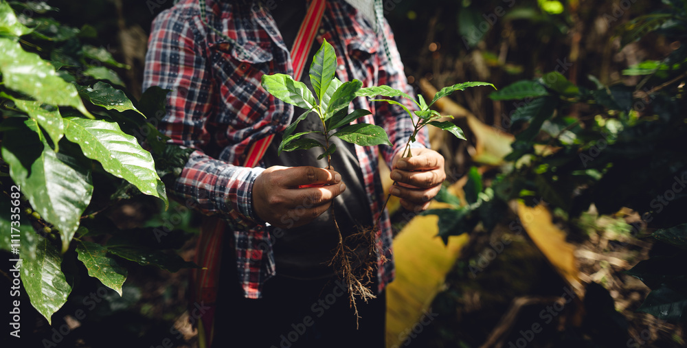 Farmers with coffee trees in hand Farmers with coffee trees in hand
