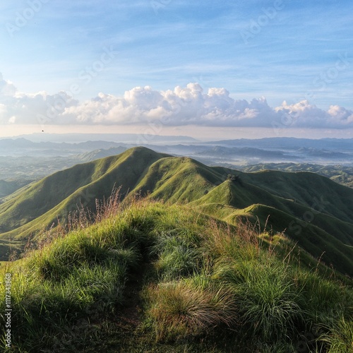 Panoramic View of Alicia Hills in Bohol photo