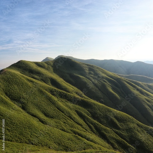 Rolling Green Hills at Alicia Panoramic Park