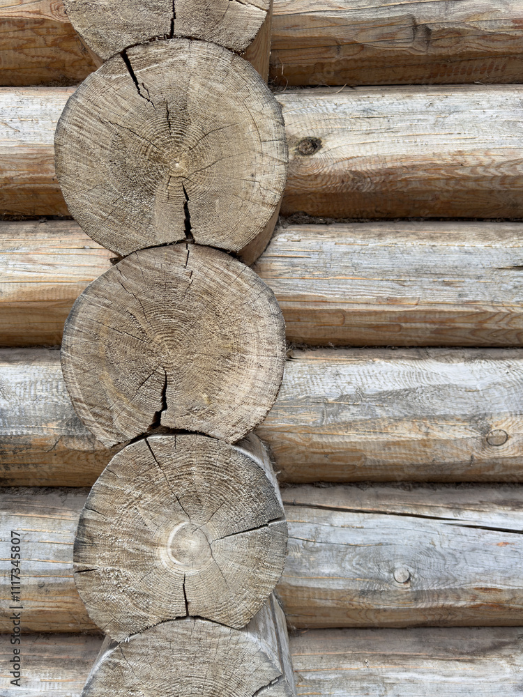 A row of logs with a grainy texture and a rustic appearance A row of logs with a grainy texture and a rustic appearance