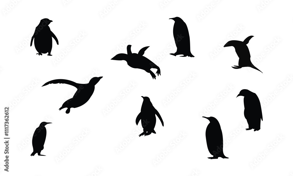 Penguin Bird Silhouette Design And Vector Illustration. Penguin Bird Silhouette Design And Vector Illustration.