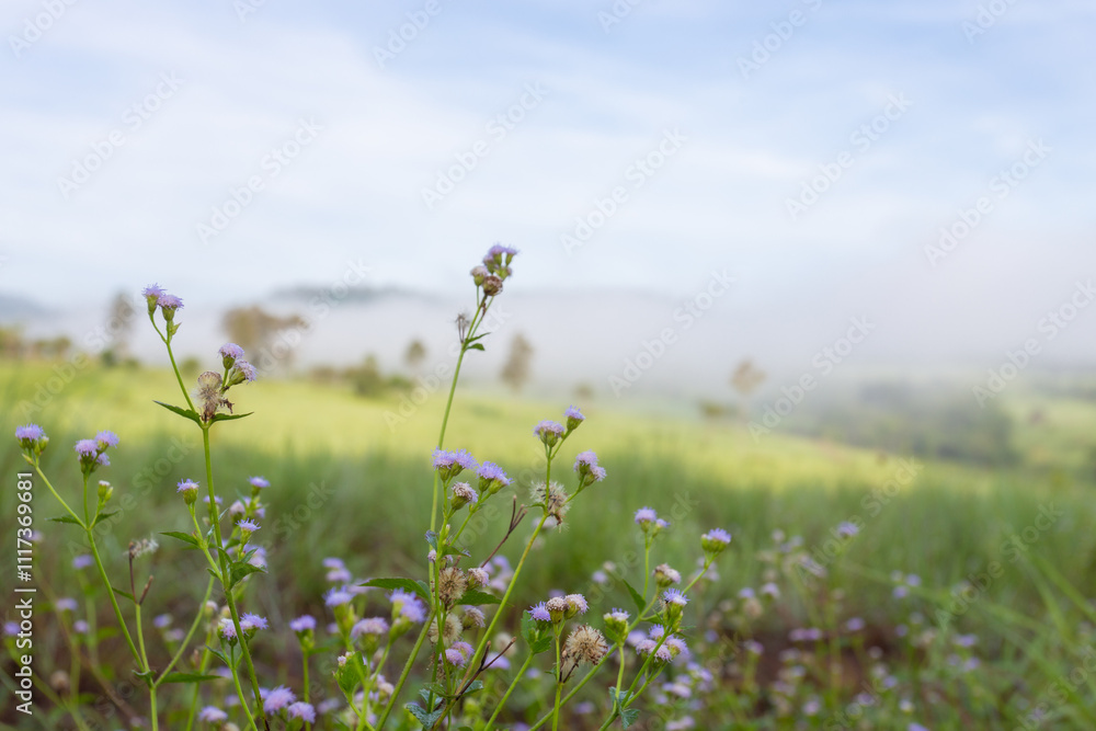 A beautiful view of Khao Kho is a district of Phetchabun province, northern Thailand. A beautiful view of Khao Kho is a district of Phetchabun province, northern Thailand.