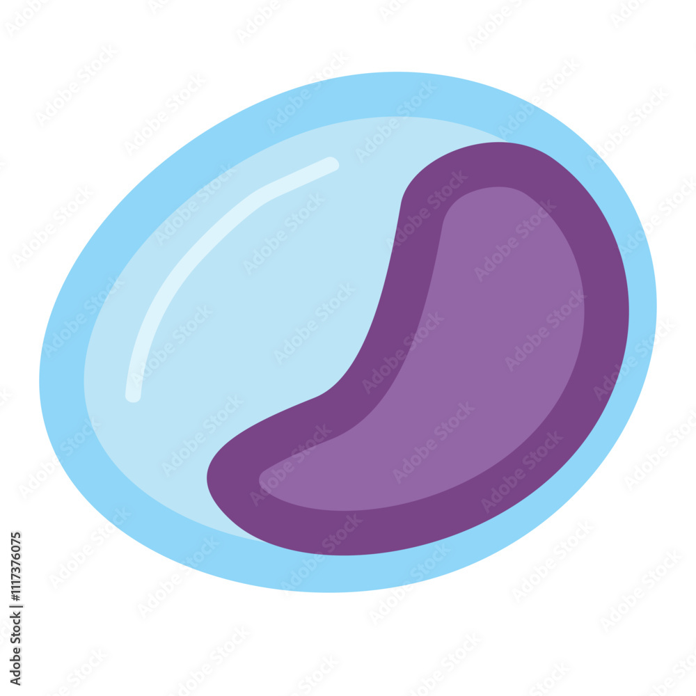 Lymphocytes. Vector Illustration Lymphocytes. Vector Illustration