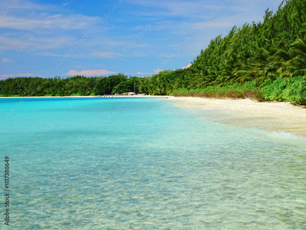 Fototapeta premium beach with turquoise water