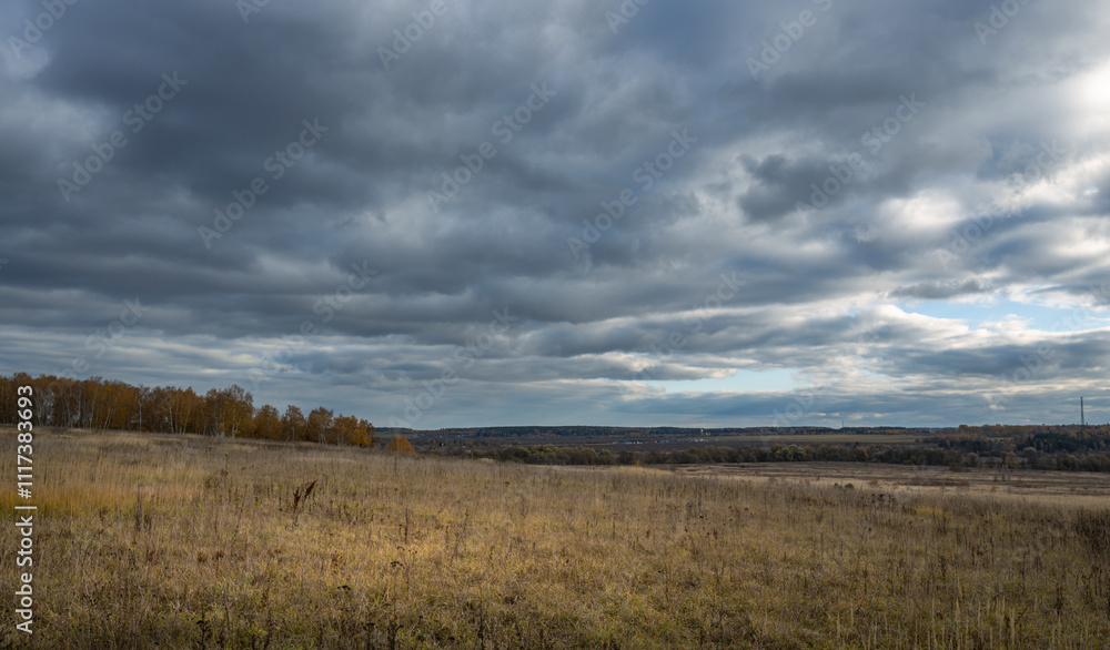 Fototapeta premium A field of tall grass with a cloudy sky in the background