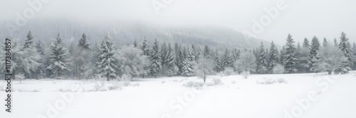 Snow-covered landscape during winter snowfall with trees and mountains in the background, cold, frosty