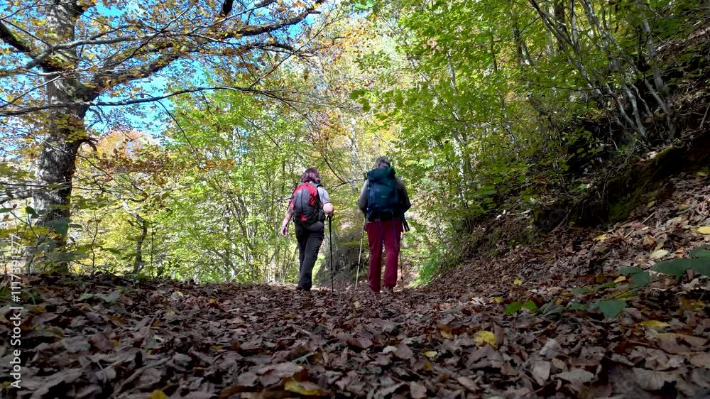 Hiking scene in the forest of Tabayon del Mongayu, a waterfall located in the Natural Park of Redes (Asturias-Spain).Mongayu14 Hiking scene in the forest of Tabayon del Mongayu, a waterfall located in the Natural Park of Redes (Asturias-Spain).Mongayu14