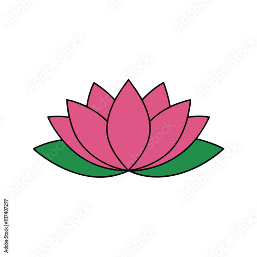 pink lotus flower