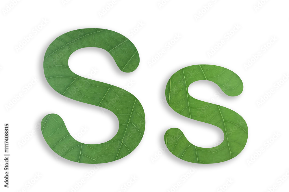 S shape made of leaves isolated on transparent background, go green concept, PNG
S shape made of leaves isolated on transparent background, go green concept, PNG