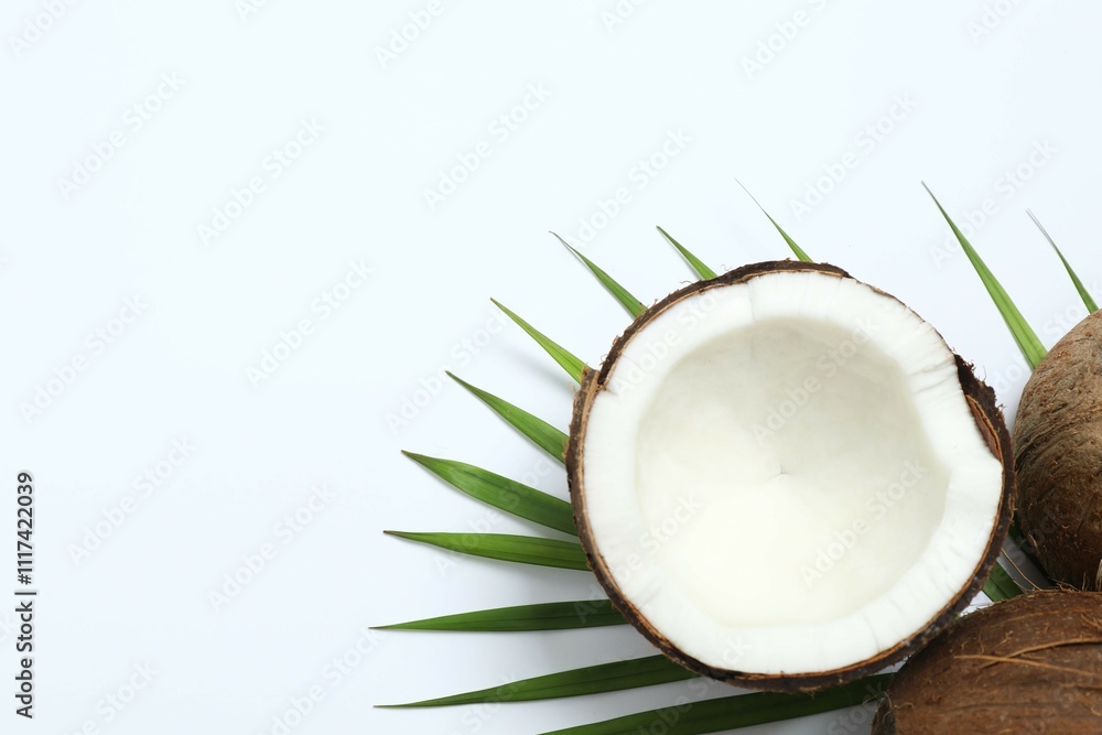 Coconut on white background, top view
Coconut on white background, top view