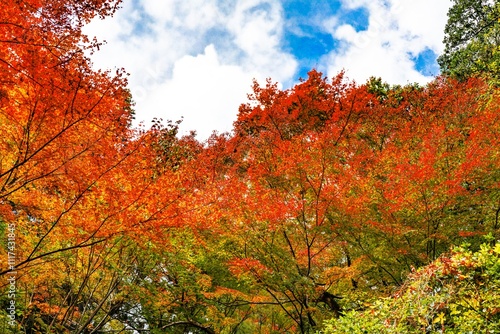 両子寺の紅葉