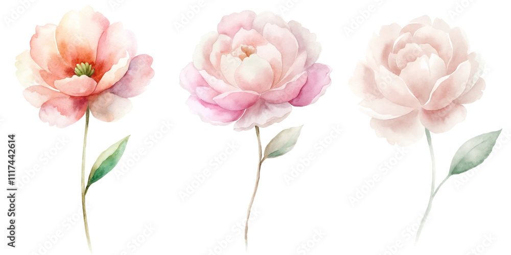 Fototapeta premium Three pink flowers are shown in a row