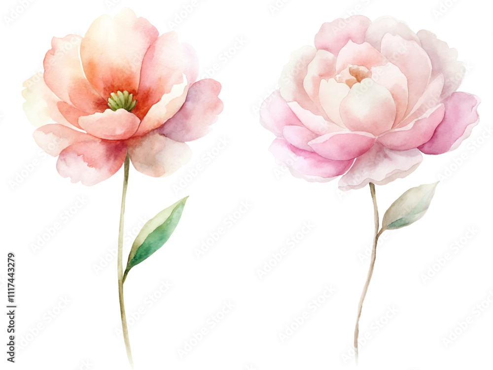 Fototapeta premium Two flowers are shown in a watercolor painting