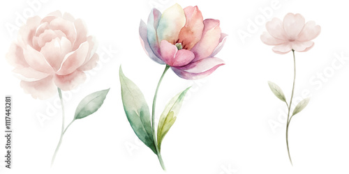 Wallpaper Mural Three flowers are shown in a watercolor painting Torontodigital.ca