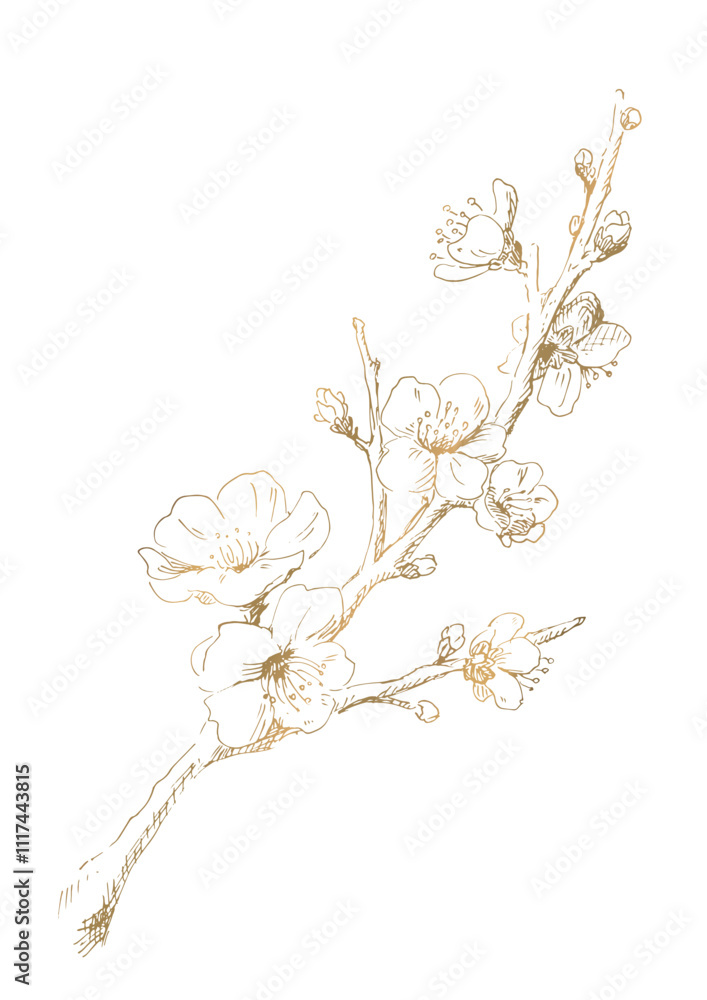 梅の花の線画 冬の梅のイラスト ゴールド デザイン用の装飾素材