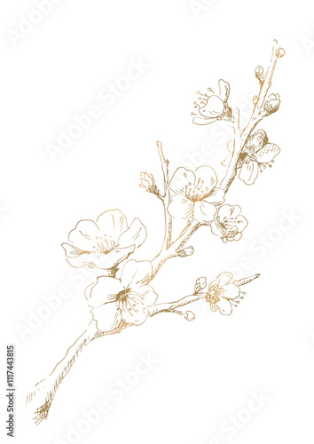 Obraz na płótnie 梅の花の線画 冬の梅のイラスト ゴールド デザイン用の装飾素材 w salonie