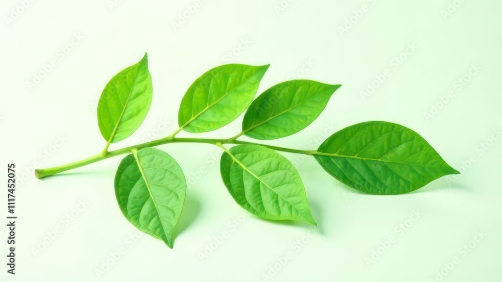 Vibrant green leaf on pastel background showcasing natural beauty Vibrant green leaf on pastel background showcasing natural beauty