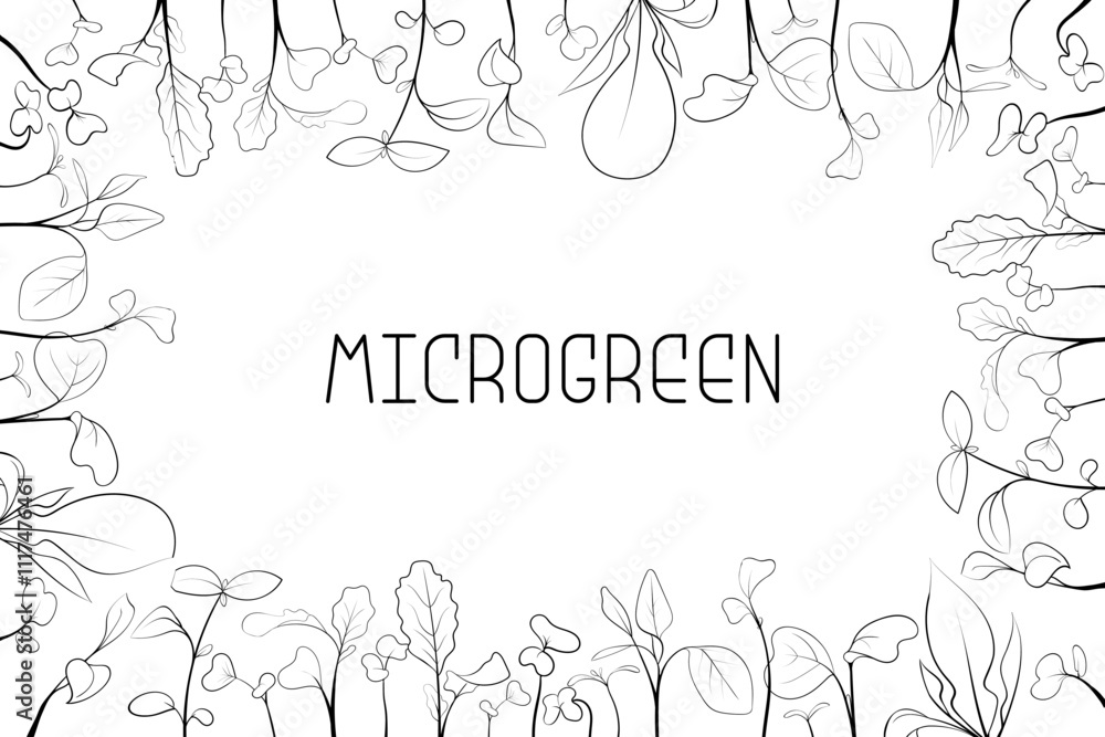 Obraz premium Microgreen leaves and sprouts border in rectangular frame in sketch style with text in center. Vector line art botanical frame illustration on white background. Healthy eating and nutrition concept.