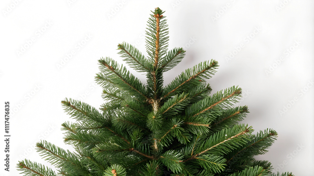 Top View of Christmas Fir Tree Decoration on Pure White Background Top View of Christmas Fir Tree Decoration on Pure White Background