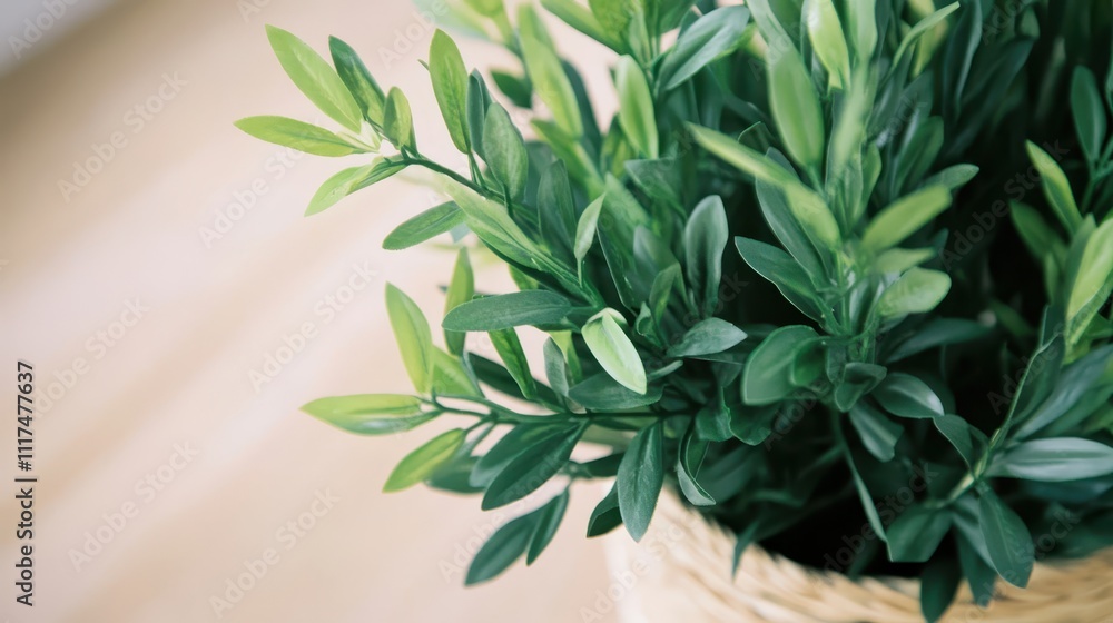 Close-up of lush green leaves in a light beige basket. Close-up of lush green leaves in a light beige basket.
