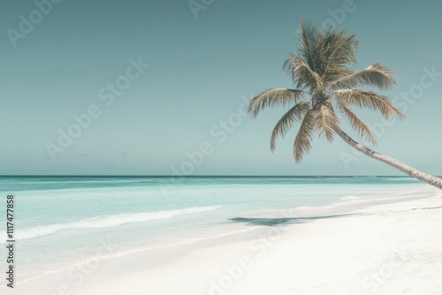 Serene beach scene with a palm tree and calm turquoise waters.
