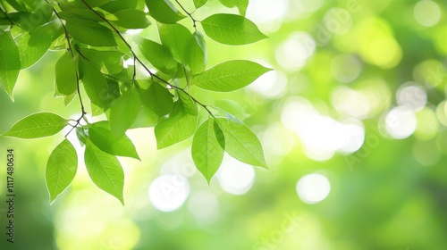 Fresh, vibrant green leaves on branches, sunlight shining through.