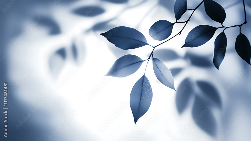 Delicate leaves cast intricate shadows, creating a serene and calming atmosphere in shades of blue, highlighting nature's elegance and tranquility. Delicate leaves cast intricate shadows, creating a serene and calming atmosphere in shades of blue, highlighting nature's elegance and tranquility.