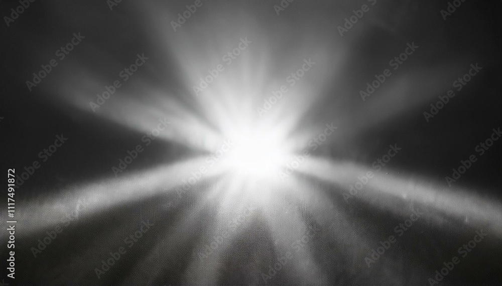 光（白、黒、モノクロ）