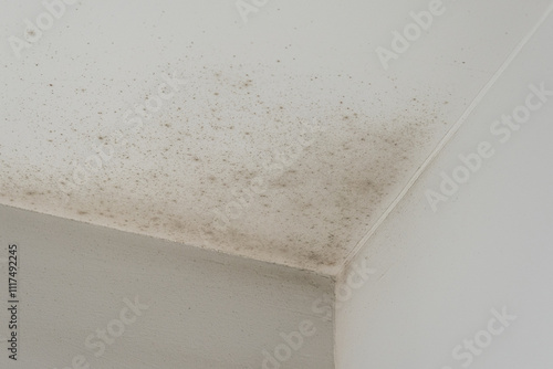 Dirty stain on the ceiling of the room. The problem of mold.