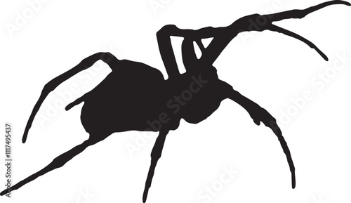 Vector Silhouette Collection: Clean and Bold Designs Spider, Black Widow, Red back female, views isolated on white