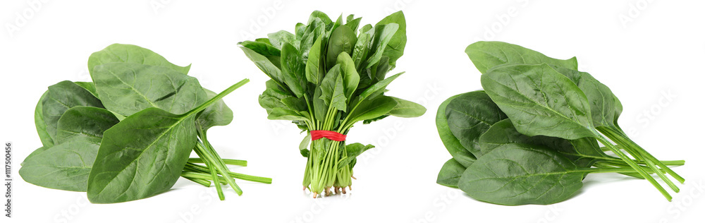 Fototapeta premium Spinach on a white background