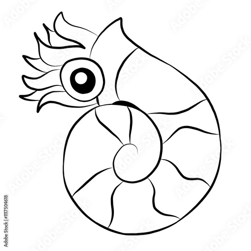 Sea shells, sea shells picture , animal, beautiful images used in general work.