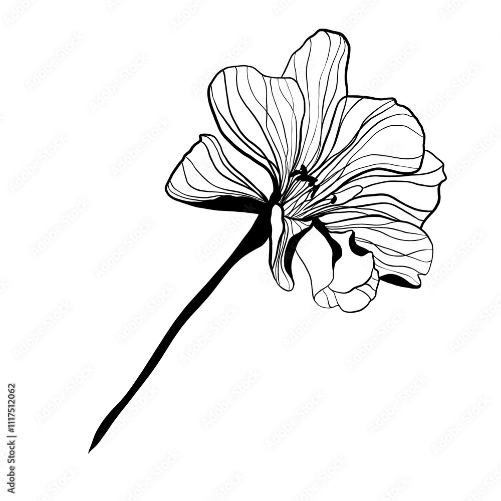 Obraz premium botanical illustration of twigs and flowers line art