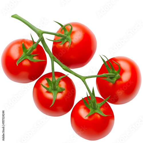 fresh red tomatoes on the vine with green stems in top view