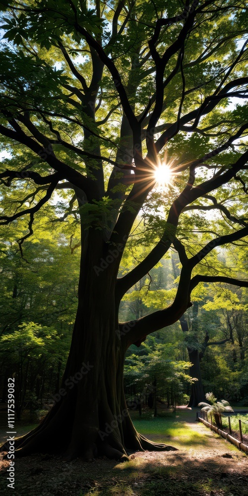 Fototapeta premium Majestic tree with sunlight filtering through leaves in lush, untamed forest, sunlight, forest