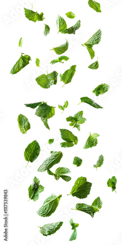 Fresh green leaves scattered in various orientations, showcasing their vibrant color and natural texture on white background , cut out. 