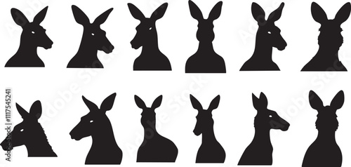 Wild Kangaroo Profile Graphic Artwork
