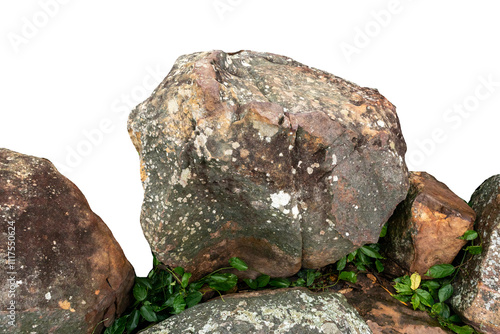 The trees.Rocks and Stone on the Mountain .Isolated on White background with clipping path