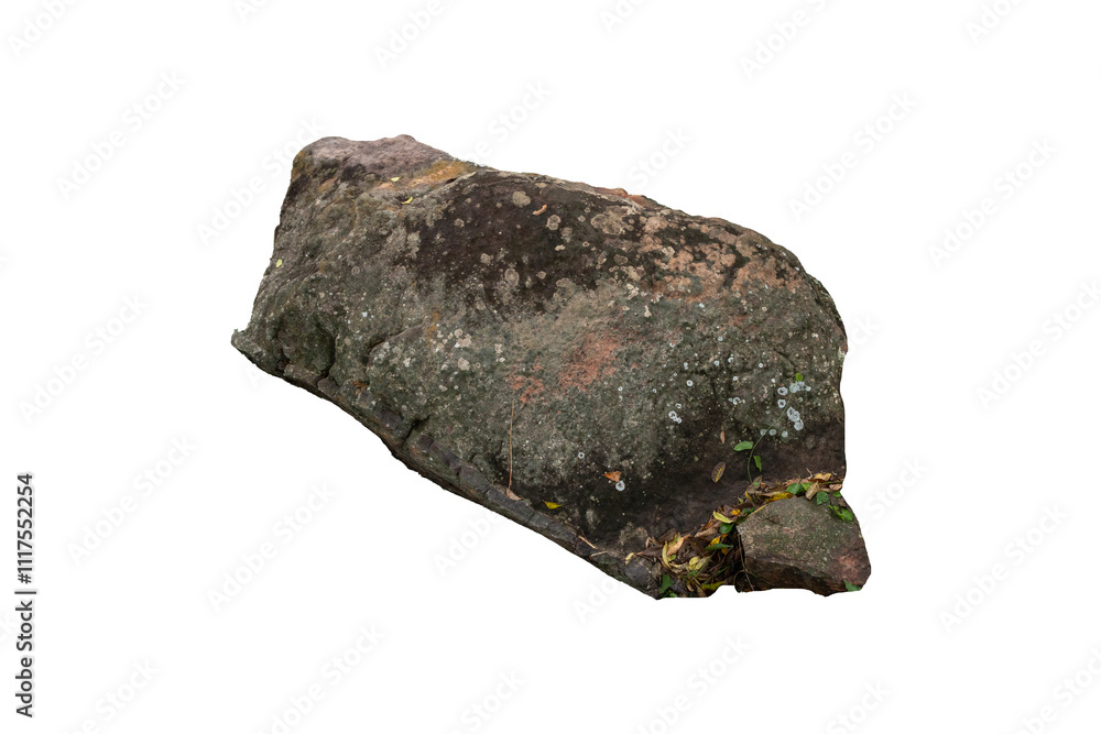 The trees.Rocks and Stone on the Mountain .Isolated on White background with clipping path The trees.Rocks and Stone on the Mountain .Isolated on White background with clipping path
