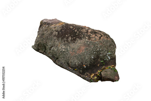 The trees.Rocks and Stone on the Mountain .Isolated on White background with clipping path