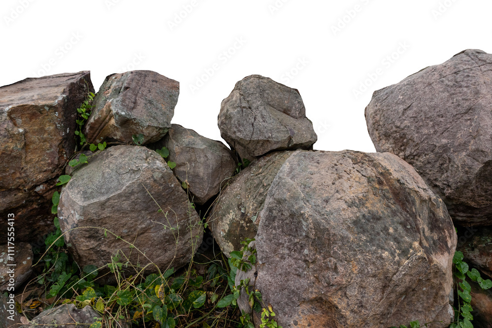 The trees.Rocks and Stone on the Mountain .Isolated on White background with clipping path The trees.Rocks and Stone on the Mountain .Isolated on White background with clipping path