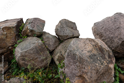 The trees.Rocks and Stone on the Mountain .Isolated on White background with clipping path