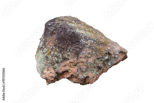 The trees.Rocks and Stone on the Mountain .Isolated on White background with clipping path